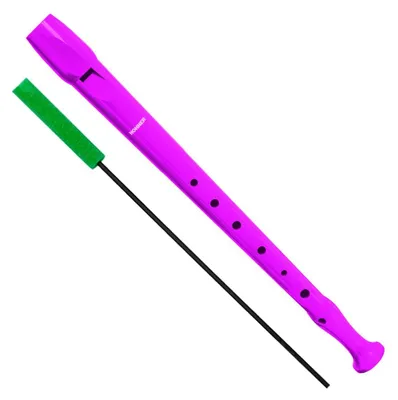 Produktbild von Hohner Violet Flute with Case -5% in Books