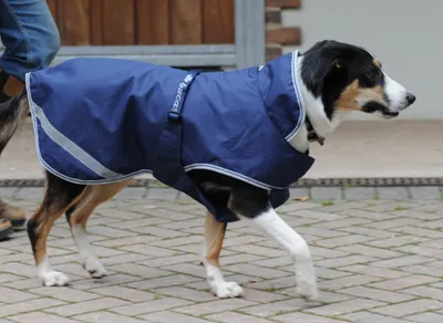 Produktbild von Bucas Freedom  Hundedecke Hundemante Winterdecke 300g 35 cm