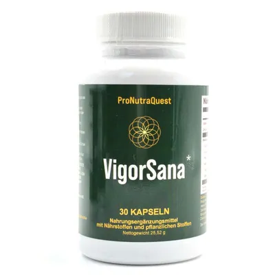 Immagine prodotto di VigorSana, 30 capsule – con L-citrullina, L-carnitina, Maca.