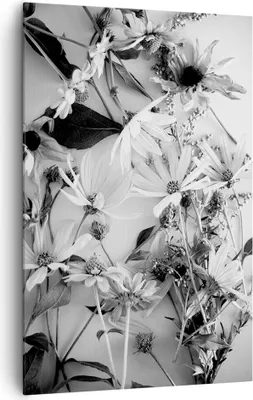 Produktbild von Bild auf Leinwand - Leinwandbild - Einteilig - Blumen Schwarzweiß Fotografie - 80x120cm - Wand Bild - Wandbilder - Leinwanddruck - Wanddekoration - Leinwand bilder - Wandbild - PA80x120-4740