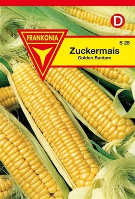 Produktbild von Zuckermais Golden Bantam
