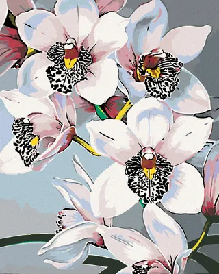 Produktbild von Diamondi - Diamond painting - WUNDERSCHÖNE ORCHIDEEN, 40X50 cm, ohne Keilrahmen