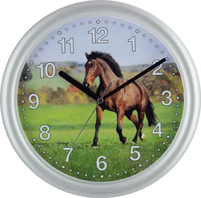 Produktbild von EUROTIME Kinderwanduhr Pferd