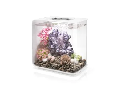 Image de Aquarium 15l led blanc - Oase - FLOW 15 MCR WHITE - biorb flow