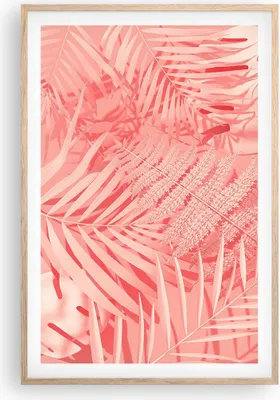 Produktbild von Gerahmtes Poster - Rahmen in heller Eiche - Rosa Blätter Palmen - 61x91,5 cm - Wand Bild - Wanddeko - Wandbilder - Kunstposter - Wandposter - Bilderrahmen - Bilder - Kunstdruck - P2NPA61x91-4745