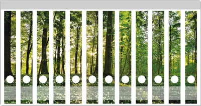 Produktbild von Wallario Ordnerrücken Sticker, selbstklebend für schmale Ordner, 12 Stück, Motiv Waldanemonen und Sonnenstrahlen im Wald
