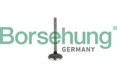 Produktbild von Borsehung B19029 Einlassventil für VW Golf IV Schrägheck (1J1)