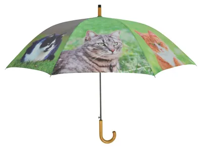 Immagine prodotto di Bellissimo ombrello con motivo a gatti, dotato di meccanismo di apertura automatica