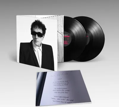 Zdjęcie produktu dla Peter Perrett: Peter Perrett: The Cleansing - - (LP / T)