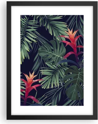 Produktbild von Gerahmtes Poster - Schwarzer Rahmen - Exotisch Blumen Blätter - 30x40 cm - Wand Bild - Wanddeko - Wandbilder - Wandposter - Bilderrahmen - Bilder - Kunstdruck - Wandbild - P2BPA30x40-4308