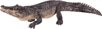Produktbild von Legler Animal Planet Alligator, Spielzeug, ab 3 Jahre, 387168