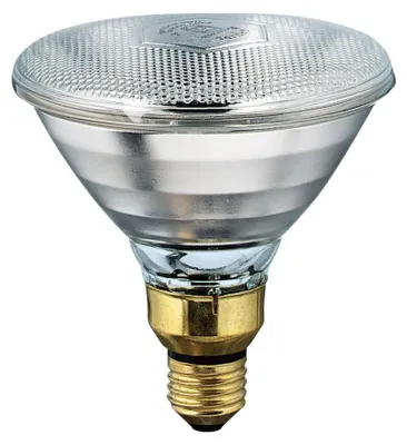 Produktbild von Philips 60800138941, 175 W