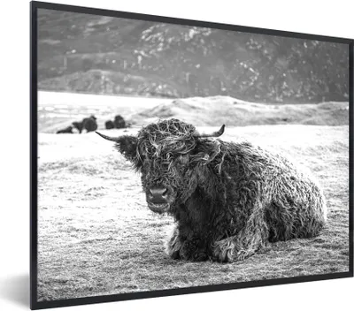 Produktbild von MuchoWow® Gerahmtes Poster Schottischer Highlander - Berg - Tiere 80x60 cm - Poster mit Schwarzem Bilderrahmen Wandposter Rahmen Foto Bilder - Schwarzem - Mit Gestell