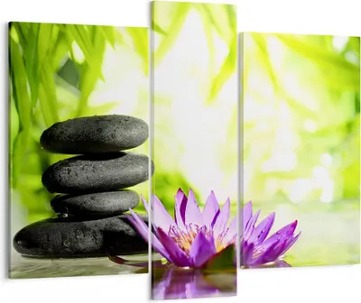 Produktbild von Bild auf Leinwand - Leinwandbild - Spa bambus blume wasser - 95x80cm - Wand Bild - Wanddeko - Leinwanddruck - Bilder - Kunstdruck - Wanddekoration - Leinwand bilder - Wandkunst - CB95x80-2477