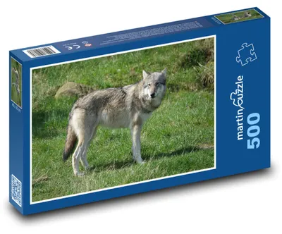 Produktbild von Puzzle 500 Wolfsporträt auf der Lichtung - martinpuzzle