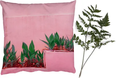 Produktbild von MuchoWow® Zierkissen Sofakissen Wohnzimmer Dekokissen 40x40 cm Pflanzen - Sommer - Farbe - Foto Kissen - Schlafzimmer Dekoration