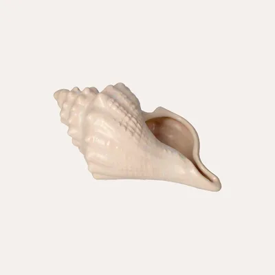 Image de KEYHOMESTORE | Bol en céramique blanche, 12x25x15 cm