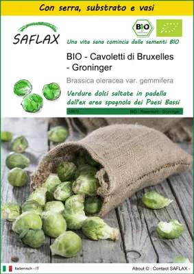 Immagine prodotto di SAFLAX Insieme di coltivazione -- Cavoletti di Bruxelles - Groninger - 30 semi - Brassica