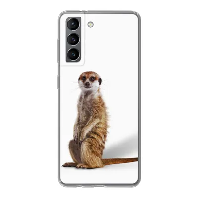 Produktbild von MuchoWow® Handyhülle Schutzhülle Hülle für Samsung Galaxy S21 Erdmännchen - Tiere - Fell Silikon Softcase Handy Hülle - Softcase