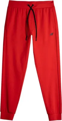 Immagine prodotto di Pantaloni 4F 4FAW23TTROM45162S