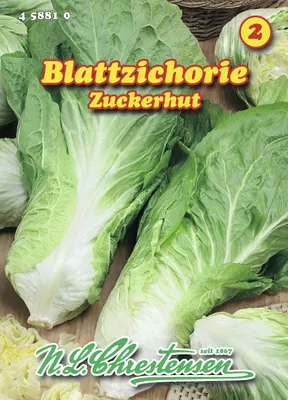 Produktbild von Blattzichorie Zuckerhut | Chicoréesamen von N.L. Chrestensen