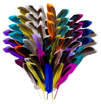 Produktbild von 100 Stück Bunte Federn zum Basteln, Federdekoration für DIY-Ohrringe, Hochzeiten, Traumfänger, Kopfschmuck und Schulhandwerk