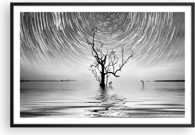 Produktbild von Gerahmtes Poster - Schwarzer Rahmen - Schwarzweiß Baum See - 91,5x61 cm - Wand Bild - Wanddeko - Wandbilder - Kunstposter - Wandposter - Bilderrahmen - Bilder - Kunstdruck - Wandbild - P2BAA91x61-4253