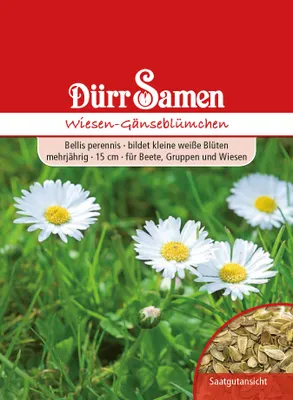 Produktbild von Dürr-Samen - Wiesen-Gänseblümchen weiß zweijährig 15 cm - Saatgut - 1312