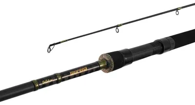 Image de Delphin MURENA / 2 parties 270cm/100g