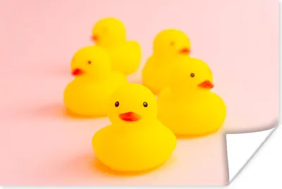 Produktbild von MuchoWow® Poster Gummi-Enten - Rosa - Gelb 60x40 cm - Schlafzimmerdekoration
