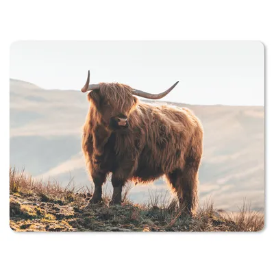 Produktbild von MuchoWow® Mauspad Mousepad Schottische Highlander - Tiere - Ländlich - Landschaft - Kuh - Natur 23x19 cm - Mousepads - Maus Mat - Pad - Mausunterlage - Schreibtischunterlage - Mauspad