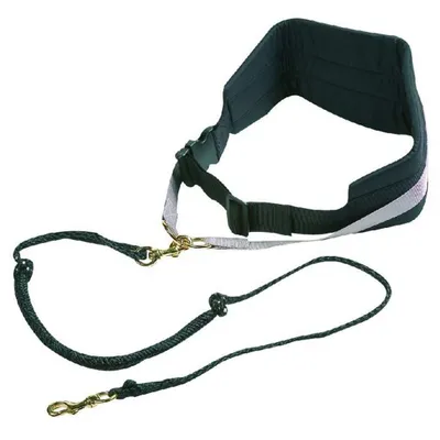 Immagine prodotto di FLAMINGO Guinzaglio da jogging elasticizzato Canicross nero