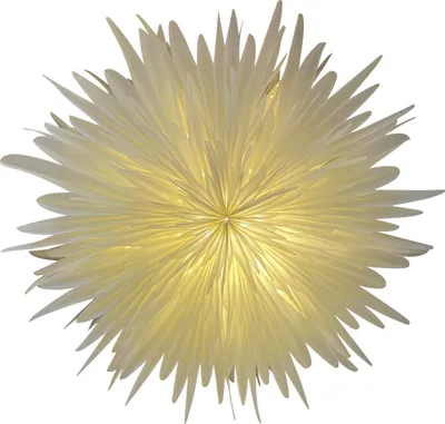 Produktbild von Only Natural Papierstern SNOWFLAKE S weiß | Ø 40cm