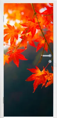 Produktbild von MuchoWow® Türtapete Selbstklebende Türfolie Herbstblätter in Japan 90x215 cm Türposter Türaufkleber Klebefolie Türklebefolie - Plakat an der Tür - Türsticker - Aufklebern
