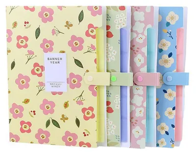 Immagine prodotto di Solidchoice - Set di 4 organizer espandibili per documenti, formato A4