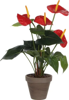 Immagine prodotto di Mica Decorations Pianta artificiale Anthurium in vaso Stan Stan - H38 x Ø30 cm - Rosso