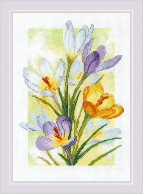 Obrázek produktu pro Riolis křížková výšivka balení "Frühlingsglühen. Crocuses", 21x30cm, počítaný vzor