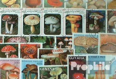 Produktbild von Briefmarken Motive 100 verschiedene Pilze Marken