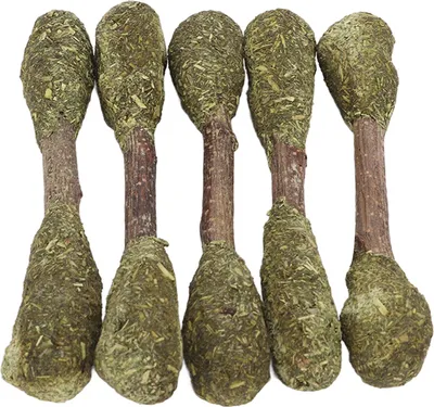 Zdjęcie produktu dla 5 sztuk gryzaków z trawy lucerny do szlifowania zębów dla królików, chomików, golden retrieverów i świnek morskich