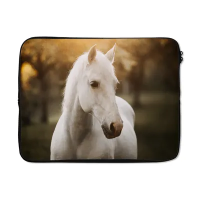 Produktbild von MuchoWow® Laptop Hülle 17 Zoll Laptoptasche Pferd - Sonne - Herbst - Tiere - Natur - Zipper - Schutzabdeckung