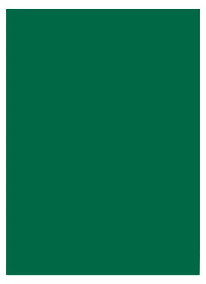 Produktbild von folia 6358 - Tonpapier tannengrün, DIN A3, 130 g/qm, 50 Blatt - zum Basteln und kreativen Gestalten von Karten, Fensterbildern und für Scrapbooking