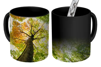 Obrázok produktu pre MuchoWow® Magický pohár Strom - príroda - les 350 ml Pohár na zmenu farby Darček Nápad na darček - Foto hrnček