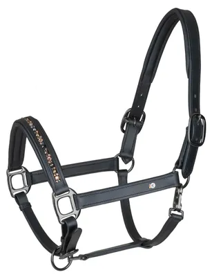 Image de Waldhausen Licol Crystal Noir Cob Noir Cob