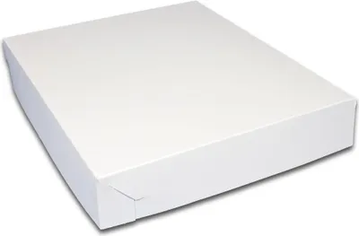 Immagine prodotto di Scatole per sandwich 38 x 38 x 6 cm - 50 pz