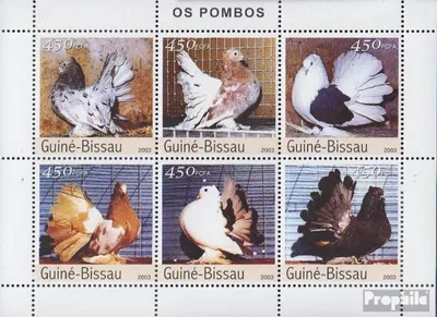 Produktbild von Briefmarken Guinea-Bissau 2003 Mi 2476-2481 Kleinbogen (kompl.Ausg.) postfrisch Rassetauben