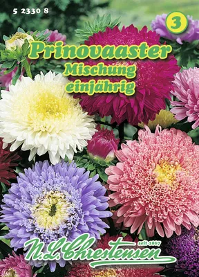 Produktbild von Prinovaaster Mischung | Asternsamen von N.L. Chrestensen