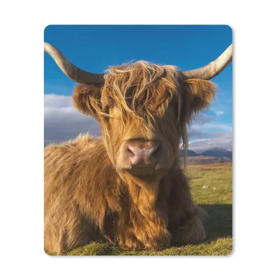 Produktbild von MuchoWow® Mauspad Mousepad Schottische Highlander - Tiere - Gras 19x23 cm - Mousepads - Maus Mat - Pad - Mausunterlage - Mauspads - Spielen