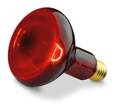 A red infrared heat lamp bulb with a gold base, isolated on a white background.