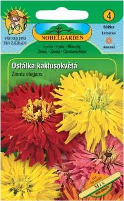 Zdjęcie produktu dla Cactusflower turzyca lepka, mieszanka