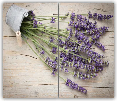 Produktbild von Tulup Glas-Herdabdeckplatte - 2x30x52cm - Glaskeramikkochfeld-Abdeckung Spritzschutz Zweiteilig Lavendel in Topf